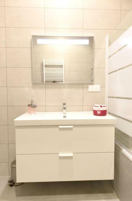 Appartement Grand Standing Vauban 10 Personnes Centre Historique De Colmar Exteriér fotografie